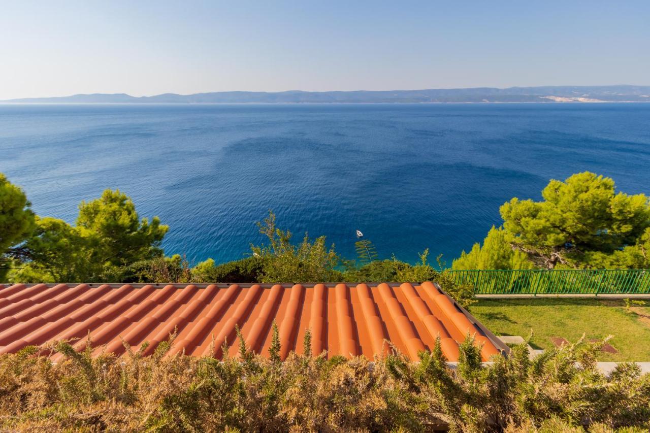 Luxury Apartments Villa Ruzmarina With New Heated Infinity Pool And Lounge Area Marusici  Exterior foto